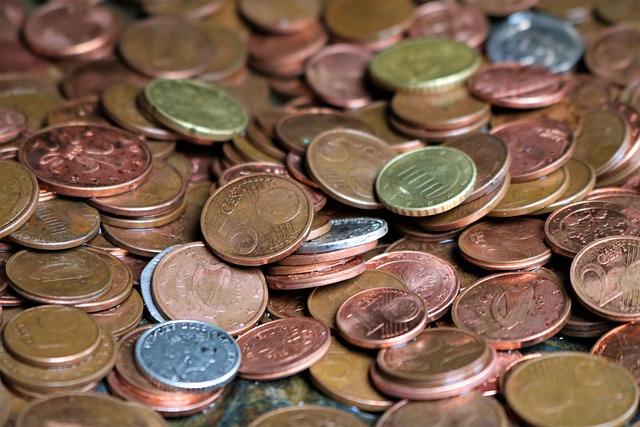 cizí mince
