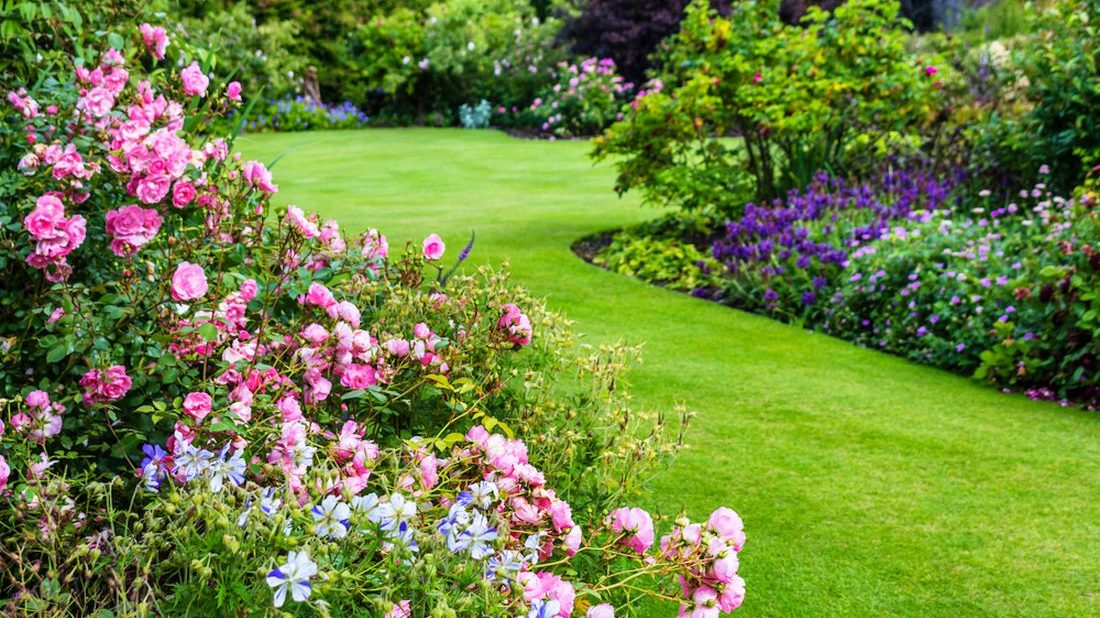 S mazlíčky v zahradě